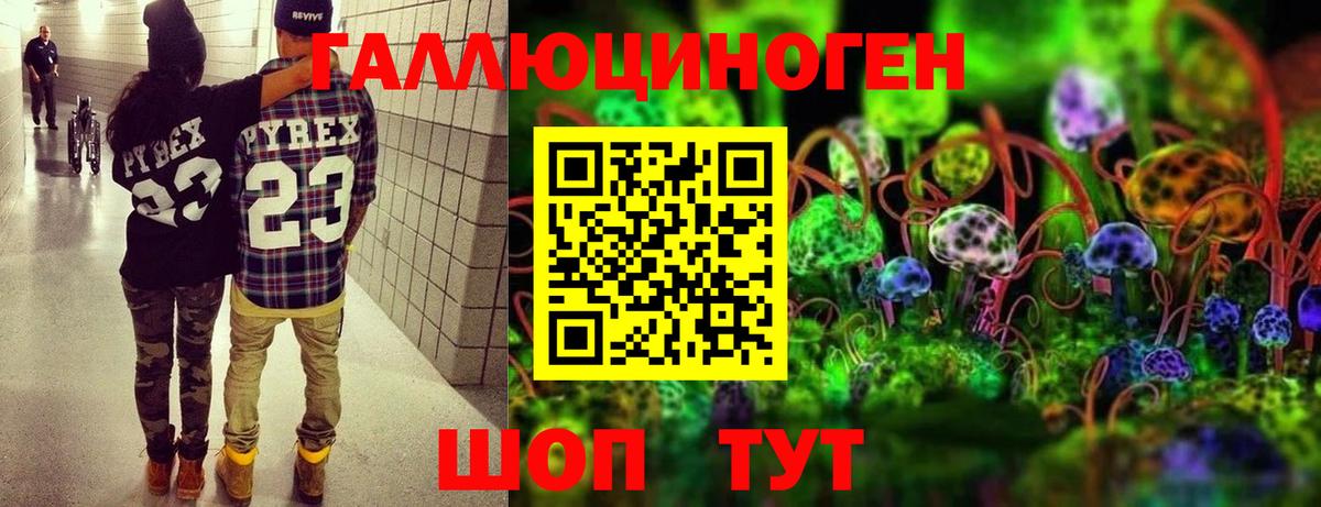 Ачхой-Мартан  Галлюциногенные грибы ЛСД  Псилоцибиновые грибы GOLDEN TEACHER  Вход с VPN 